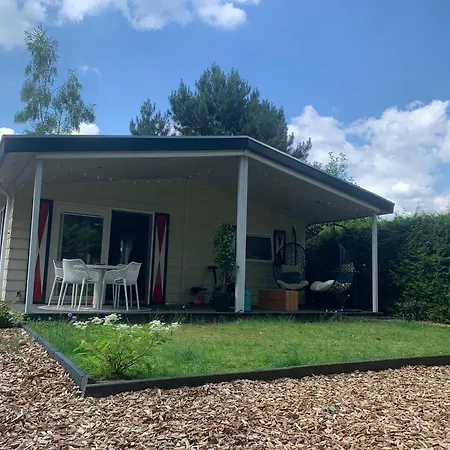 Vakantiewoning Voorthuizen - 4 pers op vakantiepark de IJsvogel-3